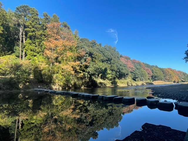 池袋平成女学園のゆりなさん写メ日記